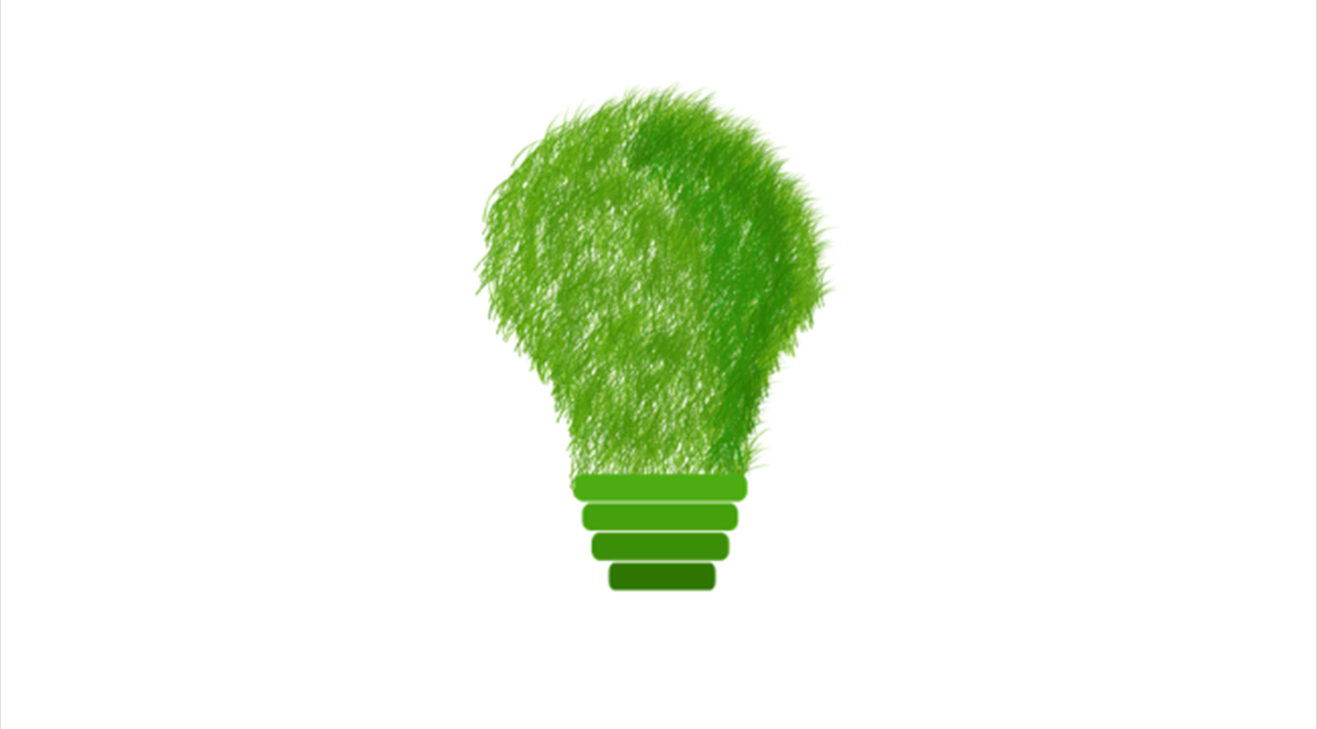 Billedet viser en gr�n p�re